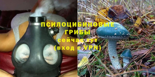 Альфа ПВП Новозыбков