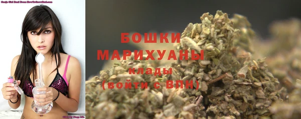 индика Нязепетровск