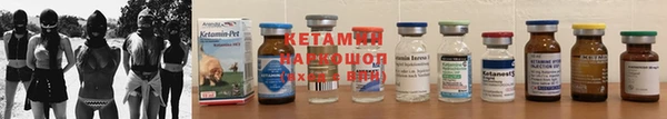Альфа ПВП Новозыбков
