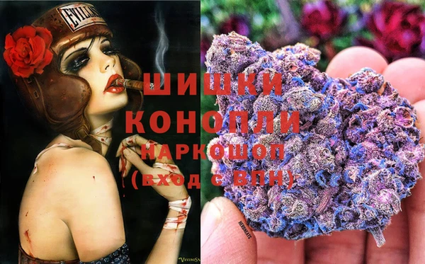 Альфа ПВП Новозыбков