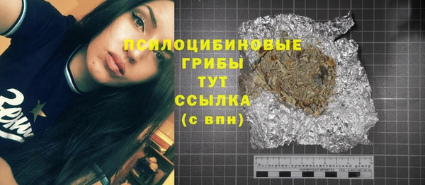 ПСИЛОЦИБИНОВЫЕ ГРИБЫ Анжеро-Судженск