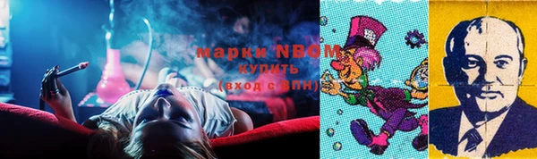 индика Нязепетровск