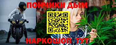 сатива Ирбит